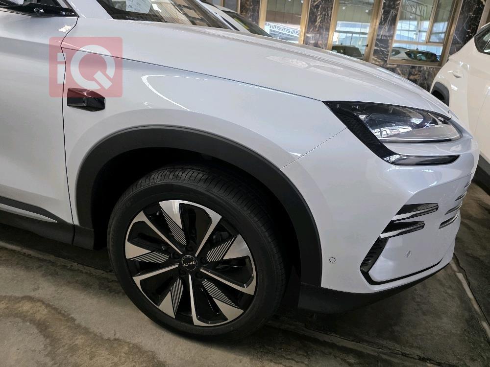 بي واي دي سونغ بلس